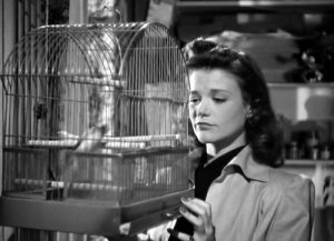 cat people2