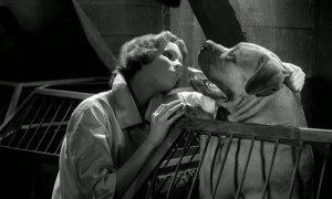 Eyes Without a Face1