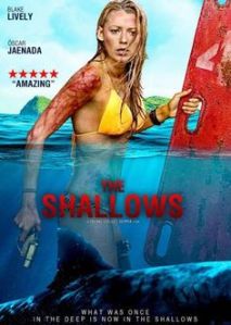 the-shallows