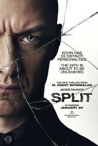 split_2017_poster
